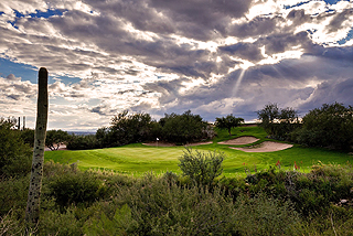 Arizonal National Golf Club
