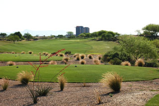 Whirlwind Golf Club Devils Claw - Arizona Golf Course 04