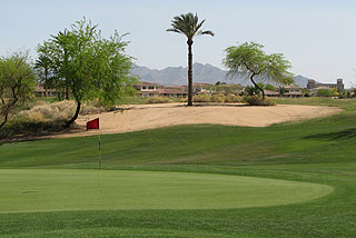 Palm Valley - Palm Course  06
