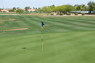 Palm Valley - Palm Course  06