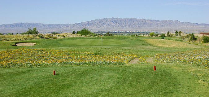 Los Lagos Golf Club  09- Las Vegas Golf Course